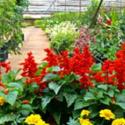 Gallery Image Number 6