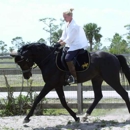 S.A.T.R. Equine Services - Horse Training