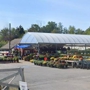 Spring Lake Plants & Produce