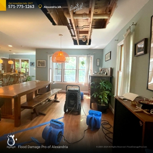 Flood Damage Pro - Alexandria, VA