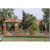 Gallery Image Number 7