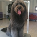 Royal Pets Grooming Spa - Pet Grooming