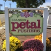 Branson Petal Pushers gallery