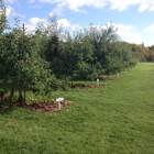 Stonehill Orchard