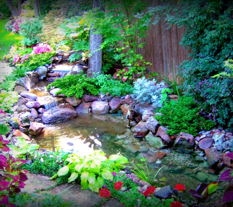 Sublime Water Gardens - Lewisville, TX