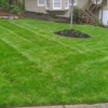 Acres Green Landscaping & Turf Care gallery