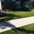 Alluring Lawn Service - Landscaping & Lawn Services