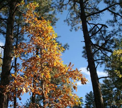 Bradshaw Mountain Guest Ranch - Crown King, AZ