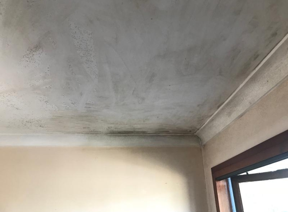 Black And White Decorating - Narraweena, NSW. Before