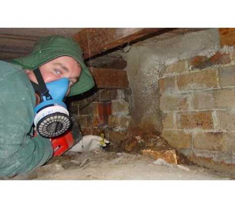 Systems Pest Management Pty Ltd - Thornleigh, NSW