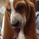 Cumming Veterinary Clinic - Veterinarians