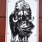 Musk Ox Farm