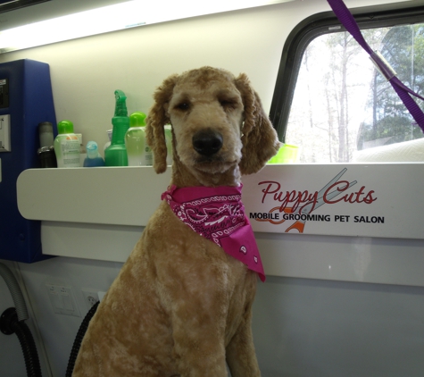 Puppy Cuts Mobile Grooming LLC - Somers Point, NJ