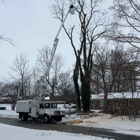 Apex Arbor Worx
