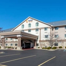 Comfort Suites Stevensville-St. Joseph - Motels