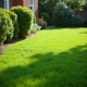 Turf Chief Lawn Care