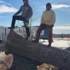 Snyder Logging & Tree Service gallery