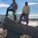 Snyder Logging & Tree Service - Arborists