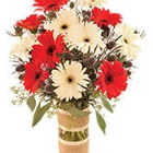 Lebens Floral & Gardens