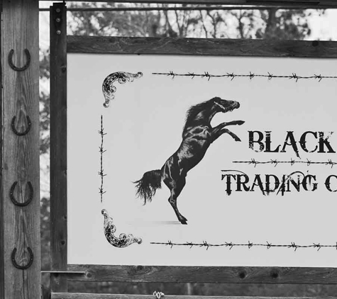 Black Horse Trading Company - Taylorsville, GA