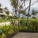 Maui Beach Hotel - Hotels