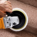 Kiwi Services - Carpet & Rug Cleaners