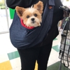 Pet Supplies Plus gallery