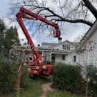 Allstate Tree & Landscape Group