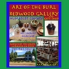 Art of the Burl Redwood Gallery gallery