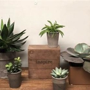 Crescent Floral & Gifts - Florists