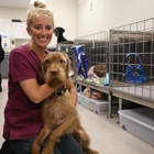 Seattle Veterinary Specialists
