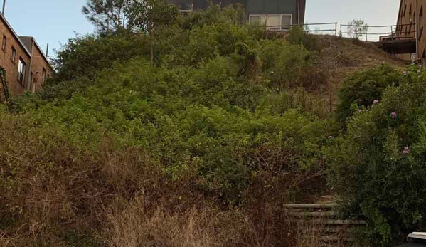 JDR Property Services - Whitebridge, NSW. Before