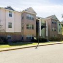 Shell Pointe Apartments - Apartments