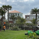 Lnez Environment & Tree Service - Tree Service