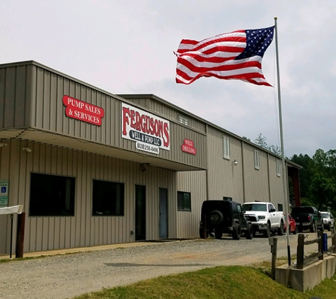 Ferguson's Well And Pump LLC - Leicester, NC