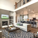 Beazer Homes Treeline - Real Estate Developers