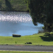 Gallery Image Number 5