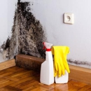 Discount Water and Mold Removal - Mold Remediation