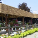 Waldo's Nursery - Nurseries-Plants & Trees