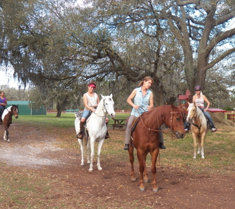 Sunset Riding STABLES....ADULT HORSE  BOARDING - Spring Hill, FL