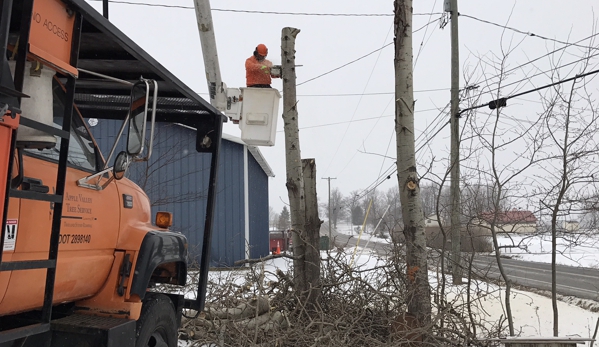 Apple Valley Tree Service - La Fayette, NY