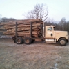 Hard Dollar Logging gallery