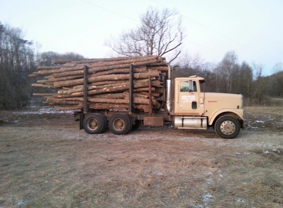 Hard Dollar Logging - Blue Creek, OH