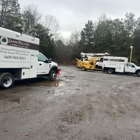 Jason Pilla Tree Specialist