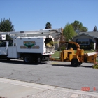 Nor-Cal Tree & Stump Service