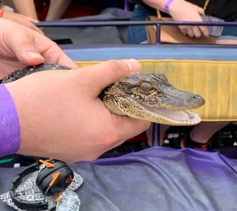 Ultimate Swamp Adventures - Westwego, LA