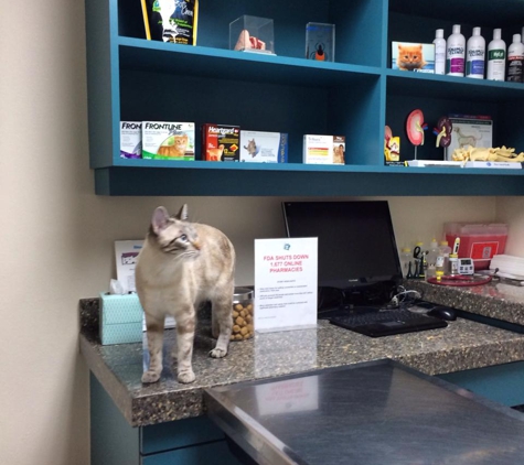 Lake Forest Animal Clinic - Lake Forest, CA