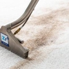 Zerorez Carpet Cleaning gallery