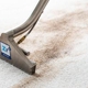 Zerorez Carpet Cleaning