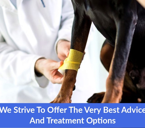 Halls Head Small Animal Clinic - Halls Head, WA. We Strive To Offer The Very Best Advice And Treatment Options